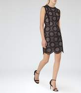 Thumbnail for your product : Reiss Dixie Graphic Lace Dress