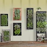 Thumbnail for your product : Williams-Sonoma Williams Sonoma Chalkboard Wall Planter