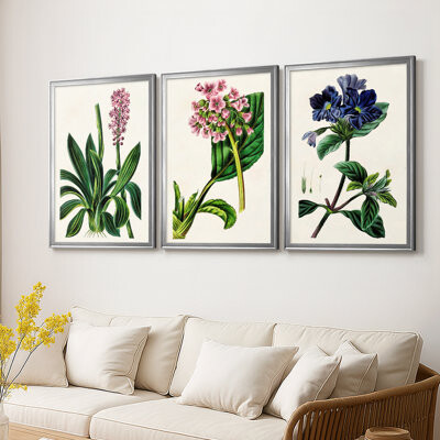 Wildon Home AntiqueFloralFolioII -Custom Framed Wrapped Gallery Canvas - 3 Pieces
