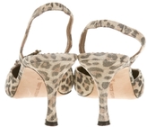 Thumbnail for your product : Manolo Blahnik Pumps w/ Tags