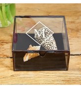 Thumbnail for your product : Cathy's Concepts Personalized Shadowbox
