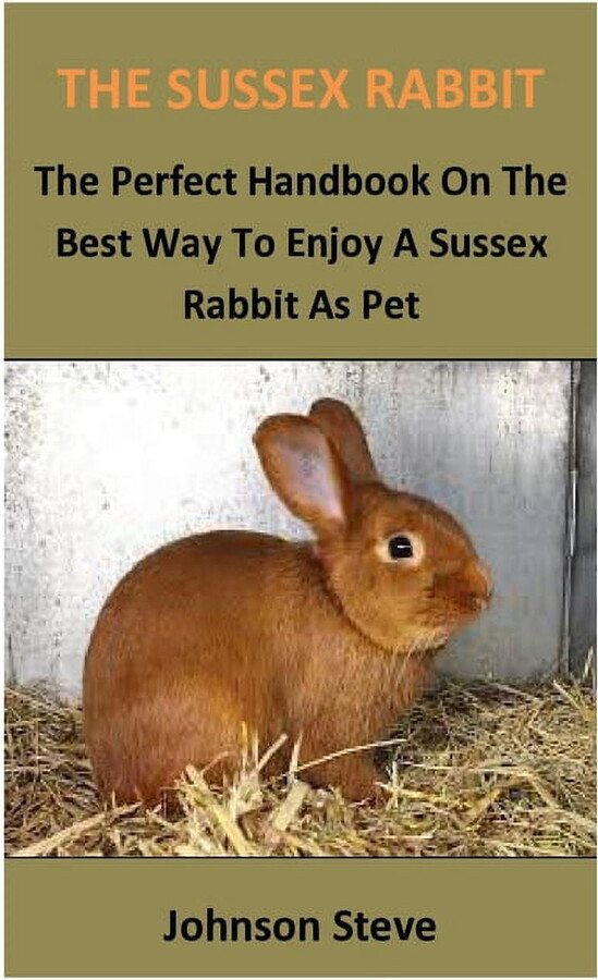 The Sussex Rabbit : The Perfect Handbook On The Best Way To Enjoy A Sussex Rabbit As Pet (Paperback)