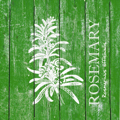 August Grove Rosemary - Wrapped Canvas Print