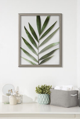 Trinx Botanical 5F by Amy Peterson Framed Glass Wall Art
