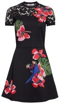 Thumbnail for your product : Valentino Women's Lace Inset Tropical Dream Knit Dress