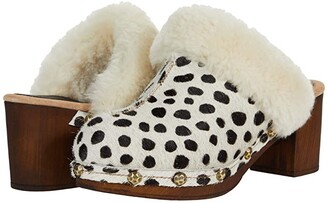 cow print clogs zappos