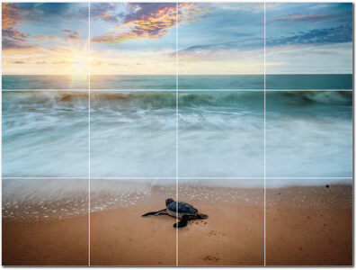 Picture-Tiles.com Turtle Photo 6'' x 6'' Satin Ceramic Decorative Mural