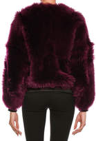 Thumbnail for your product : Tom Ford Lamb Fur Chubby Bomber Jacket