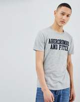 Thumbnail for your product : Abercrombie & Fitch Legacy Applique Script Logo T-Shirt in Gray