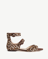 Thumbnail for your product : Ann Taylor Ivette Leopard Print Haircalf Strappy Sandals