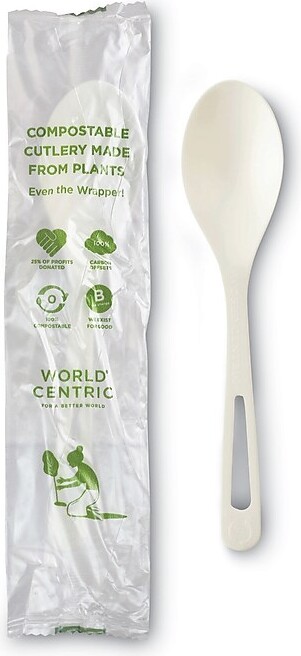 World Centric WORSPPSI TPLA Plastic Spoons, 750/Carton