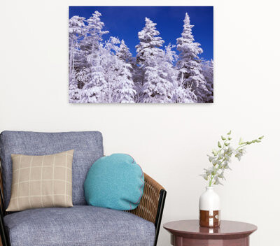 Alcott Hill Low Angle View Of Snow Covered Trees Stratton Mountain Resort Stratton Windham County Vermont Abstract Contemporary Landscape Nature Art