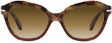 Thumbnail for your product : Persol Cat-Eye Frame Sunglasses