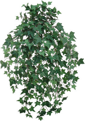 Larksilk 33" Hanging English Ivy Plant