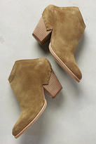 Thumbnail for your product : Dolce Vita Haku Booties