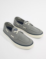grey sperrys