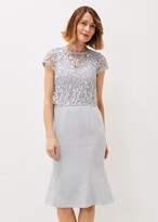 Thumbnail for your product : Phase Eight Alisha Double Layer Lace Peplum Dress