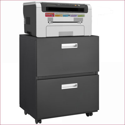 Latitude Run Cabinets: Mobile 2-Door Steel Copier Cabinet Black Printer Stand with Adjustable Shelf | Modern | Office