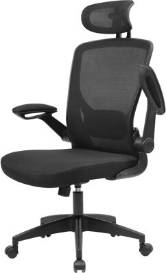 Inbox Zero Scottsville Ergonomic Office Desk Chair - Mesh Computer