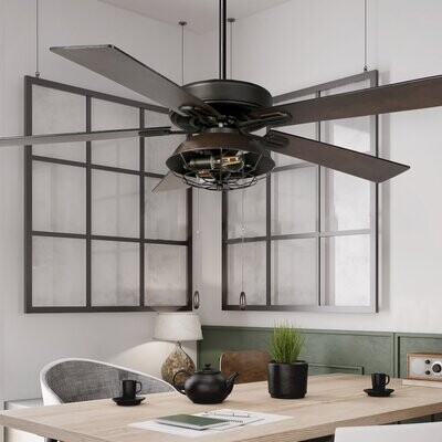 Sand & Stable 52" Hettie 5 - Blade Caged Ceiling Fan with Pull Chain and  Light Kit Included - ShopStyle