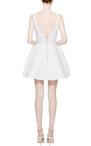 Thumbnail for your product : Natasha Zinko Mini Striped Floral Dress