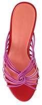 Thumbnail for your product : Cupcakes And Cashmere Arriana Slide Sandal
