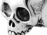 Thumbnail for your product : King Baby Studio Hamlet Skull Ring