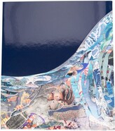 Thumbnail for your product : Phaidon Ocean Exploring The Marine World book
