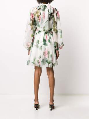 Dolce & Gabbana Rose-Print Chiffon Dress