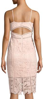 Bardot Botanica Sleeveless Lace Sheath Dress