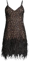 Thumbnail for your product : MICHAEL Michael Kors Feather Trim Lace Minidress