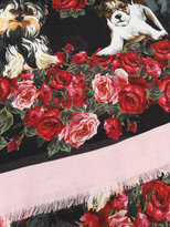 Thumbnail for your product : Dolce & Gabbana dog print scarf