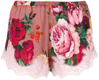 Dolce & Gabbana Floral Lace-Detail Briefs