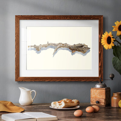 Millwood Pines Driftwood Study I Framed On Paper Print
