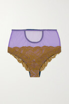 Thumbnail for your product : Dora Larsen Karla Cutout Recycled Lace And Mesh Briefs - Purple