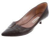 Thumbnail for your product : Tabitha Simmons Python Pointed-Toe Pumps