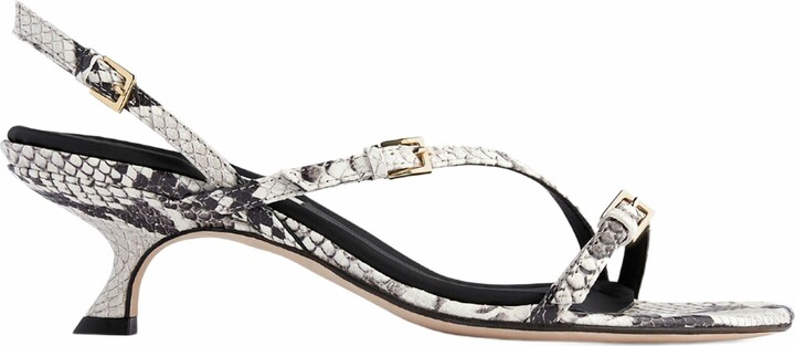 Neil J. Rodgers Janel Sandal