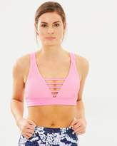 Thumbnail for your product : Lorna Jane Twiggy Yoga Bra in Neon