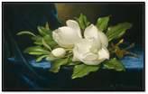 Thumbnail for your product : Museums.Co Giant Magnolias on a Blue Velvet Cloth by Martin Johnson Heade Framed Art Print