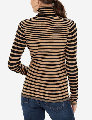 The Limited Striped Turtleneck Pullover