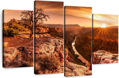 Millwood Pines Alvord Grand Canyon Sunlight