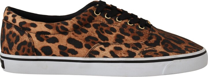 Steve Madden Loxer Sneaker Leopard Print | Leopard print sneakers, Print  sneakers, Sneakers