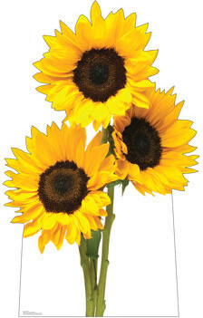 Advanced Graphics 60 Cardboard Standup