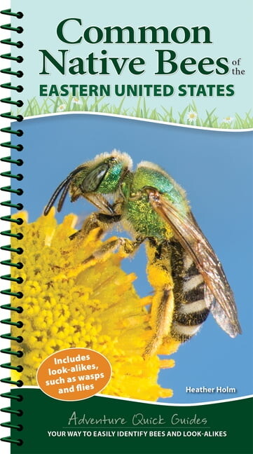 Adventure Quick Guides Common Native Bees of the Eastern United States: Your Way to Easily Identify Bees and Look-Alikes, (Spiral-Bound)