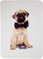 Thumbnail for your product : Catherine Lansfield Pug Throw