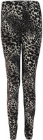 Thumbnail for your product : boohoo Constance Leopard Brushed Knit Leggings