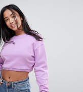 Thumbnail for your product : ASOS Petite Cropped Sweatshirt