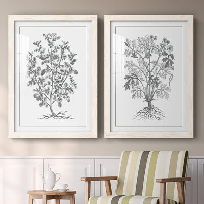 Gracie Oaks B&W Plant Specimen I-Premium Framed Print - Ready To Hang