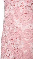 Thumbnail for your product : Blumarine Crochet Roses Cotton Mini Dress