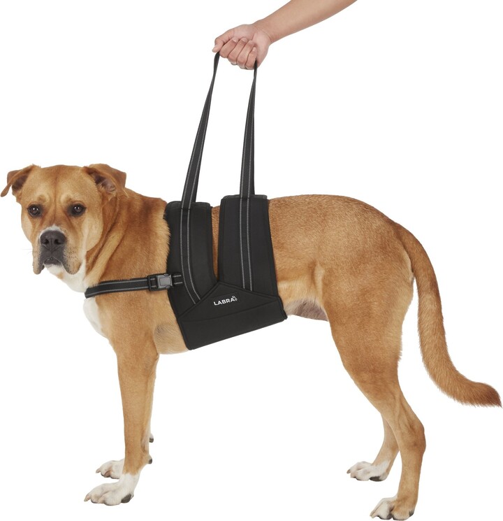 Labra Dog Support Sling with Chest Strap, X-Large